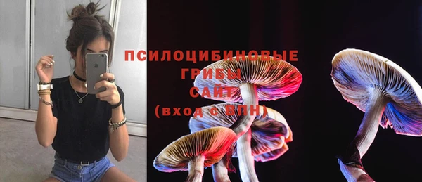 спайс Алексин