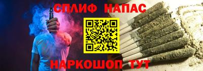 МДПВ Кингисепп
