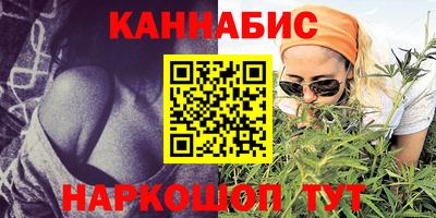 МДПВ Кингисепп