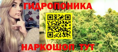 МДПВ Кингисепп