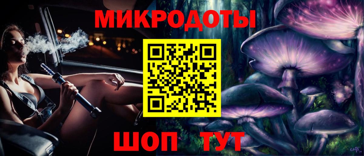 Галлюциногенные грибы Psilocybe Карпинск